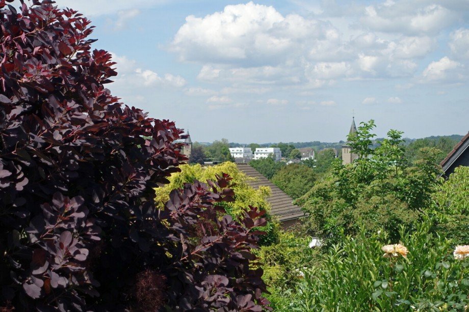 Fernsicht Bungalow Neunkirchen-Seelscheid