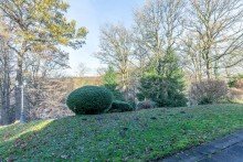 Blick ins Gr�ne WebersWohnWelt***LASS DIE SONNE REIN***