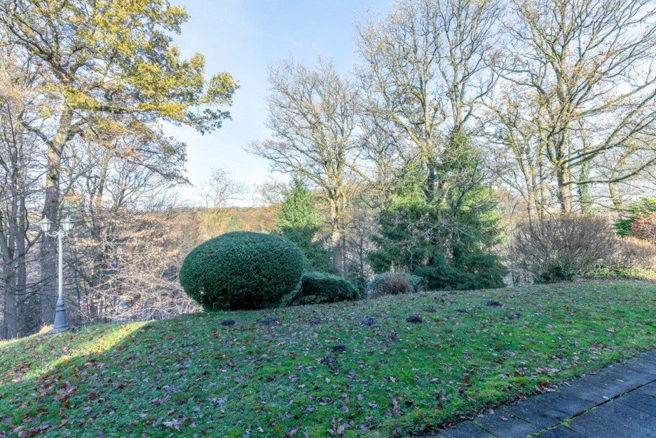 Blick ins Gr�ne Bungalow Much