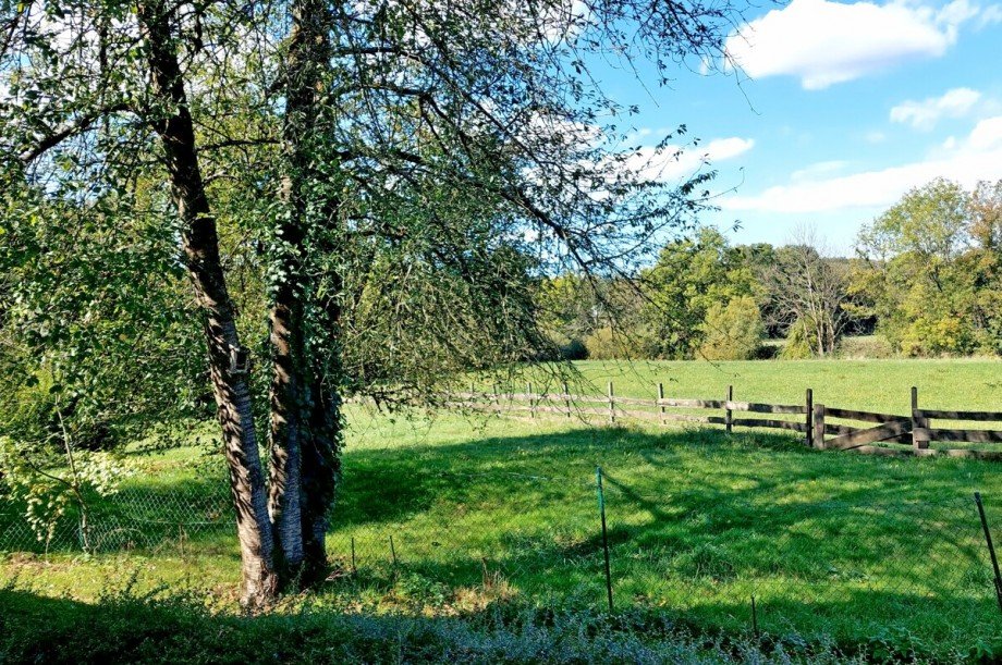 Natur pur! Doppelhaush�lfte Lohmar-Donrath