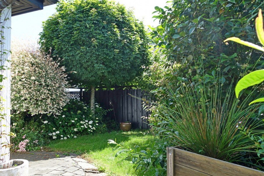 Garten vorne Bungalow Neunkirchen-Seelscheid